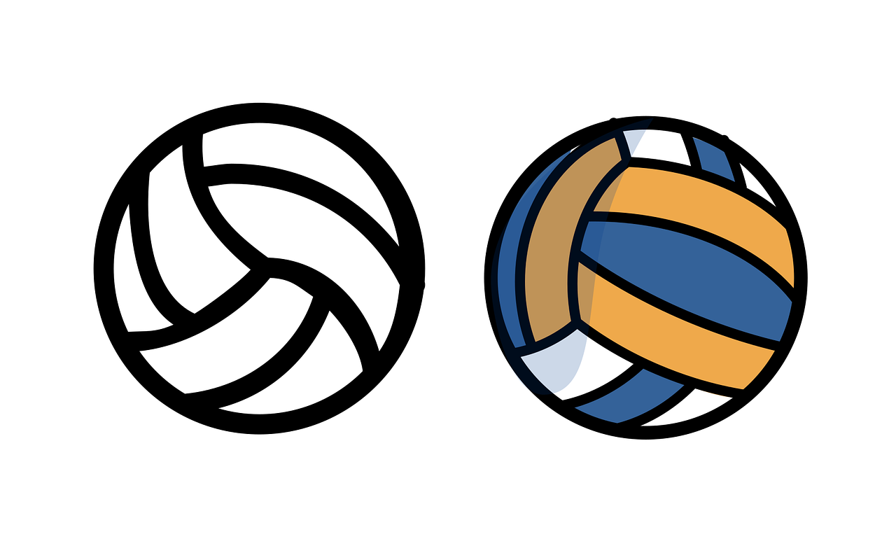 VOLEIBOL SANSE